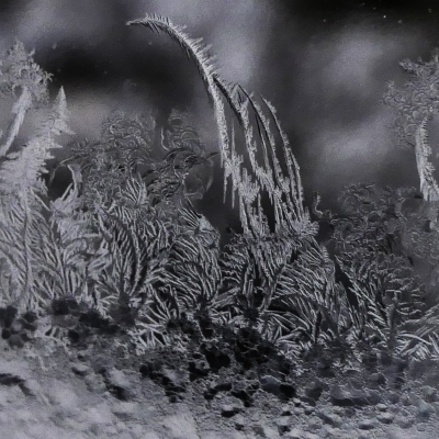 Ice flowers