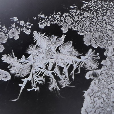 Ice flower