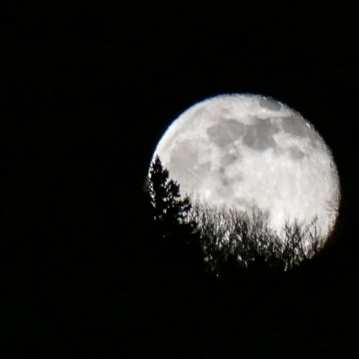 Moonrise