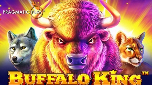 Buffalo King