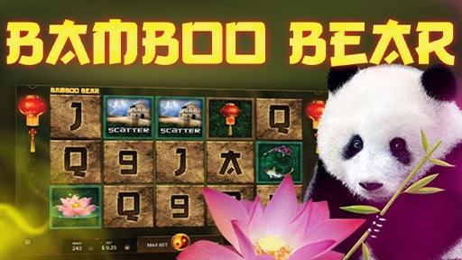 Play online Casino Bamboo Bear
