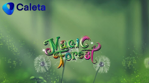 Magic Forest