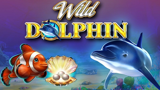 Wild Dolphin
