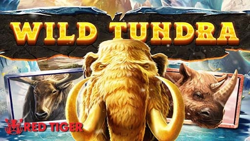 Wild Tundra