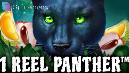 Casino Slots 1 Reel Panther