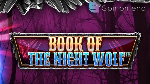 Book Of The Night Wolf