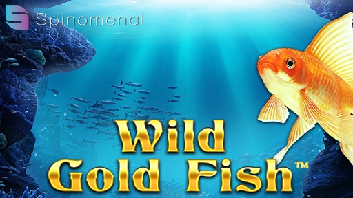 Wild Gold Fish