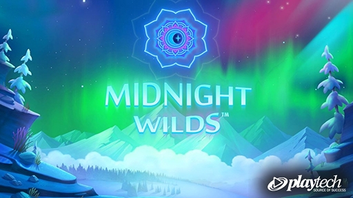 Midnight Wild