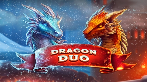 Casino Slots Dragon Duo