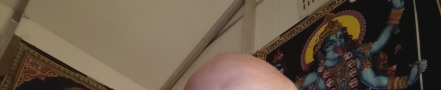 Cfishel32's casino header profile